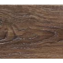 Дуб Мэриленд