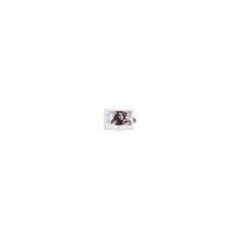 BBK LED1973W RU