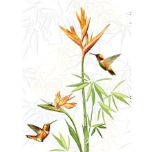 Керамическая плитка Cersanit Jungle C-JU2M052 декор 25х35