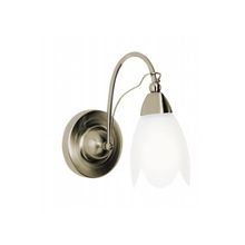 ARTE LAMP  Бра Petal A4905AP-1AB