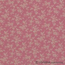 Обои флизелиновые Loymina Boudoir GT7020