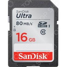SanDisk Ultra SDHC Class 10 UHS-I 80MB s 16GB