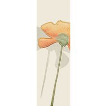 Tonalite Coloranda Giallo Set Flower 3 Pz 10x30 см