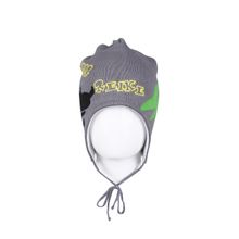 Reike Шапка Reike Dinos grey RKNSS17-DIN2-YN grey