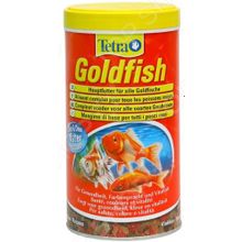 Tetra Goldfish