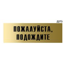 Информационная табличка «Пожалуйста, подождите» прямоугольная Д273 (300х100 мм)