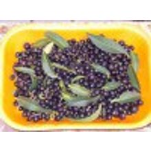 СЕМЕНА БИРЮЧИНЫ ОБЫКНОВЕННОЙ LIGUSTRUM 2 гости НЕТ