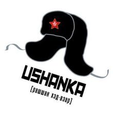 Футболка USHANKA с флоком. РК