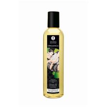 Shunga Массажное масло без аромата Organica Aroma   Fragrance Free - 250 мл.