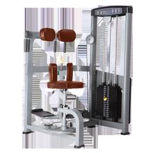 Торс-машина BRONZE GYM D-011