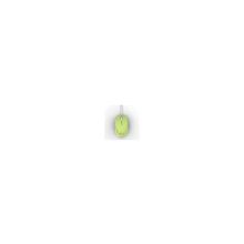 Microsoft Compact Optical Mouse 500 Green USB