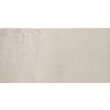 Ape Tivoli Lightgrey 25x50 см