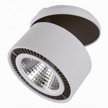 Lightstar Forte Inca LED 213820