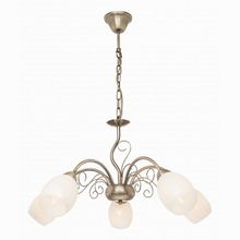 SilverLight Aimi 139.53.5