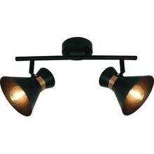 Arte Lamp A1406AP-2BK BALTIMORE спот (поворотный светильник)