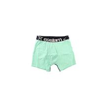 Трусы 69Slam Plain Boxer Pistachio