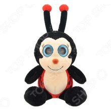 Wild Planet «Божья коровка»