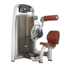 Bronze Gym A9-009 Разгибание Спины