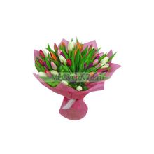 Букет Айвенго 43 разноцветных тюльпана