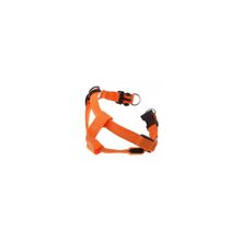 ошейник светящийся Dog Pet Belt 38-50см, Orange