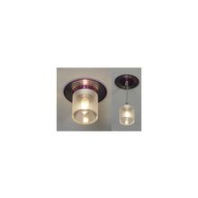 Lussole LSF-0840-01 DOWNLIGHTS точечный встаиваемый подвесной светильник