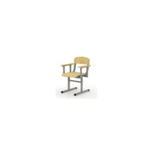  Мебель школьная, стул школьный, регулируемый для детей с ограниченными физическими возможностями. Ш-511