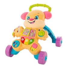 Fisher Price (MATTEL) Mattel Fisher-Price FRD06 Фишер Прайс Ходунки "Сестричка Ученого Щенка" FRD06