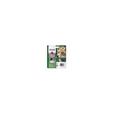 Epson Epson C13T12834011
