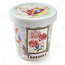 Rostokvisa «Гвоздика»