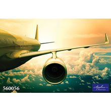 Фреска Applico 560056