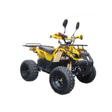 Mini ATV SHERHAN 1000