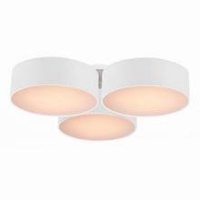 Favourite Cerchi 1515-6C