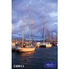 Фреска Applico 540011