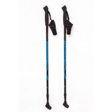 Скандинавские палки Vinson (Синие, с пластиковой рукояткой)