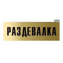 Информационная табличка «Раздевалка» прямоугольная Д263 (300х100 мм)