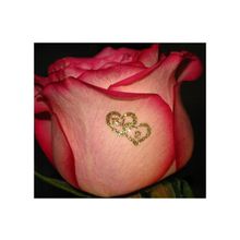 Бриллир Ты и Я R1 4C