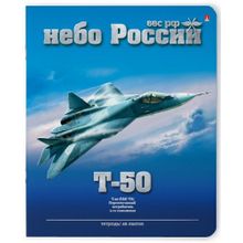 Альт Небо России в клетку 48 л 5 шт