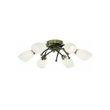 ARTE LAMP  Потолочная люстра Opal A8186PL-6AB