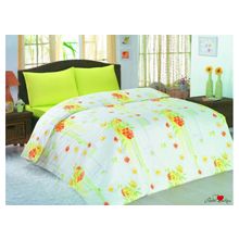 Classi Постельное белье Eva Buket Green (1,5 сп.)