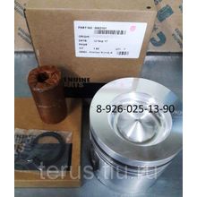 3802101, 3802100, 390156 Поршень в сборе