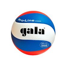 Gala Мяч волейбольный Gala Pro-Line 10 fivb