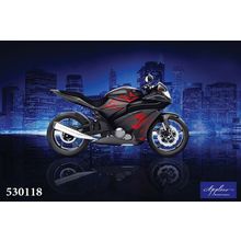 Фреска Applico 530118