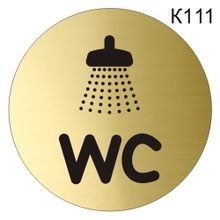 Информационная табличка «Душевая кабина и туалет» табличка на дверь, пиктограмма K111