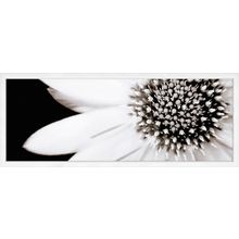 Ibero Black & White Lumiere Decor A 20x50 см