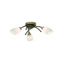 ARTE LAMP  Потолочная люстра Opal A8186PL-3AB