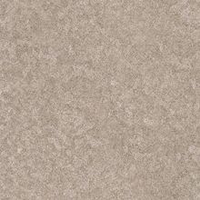 Обои виниловые Zambaiti Trussardi II 5512