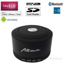 Attitude Stina Black