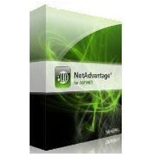 Infragistics Infragistics NetAdvantage for ASP NET with Subscription and Priority Support