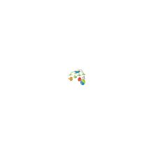 Bright Starts Bright Starts Музыкальный мобиль "Сафари" (5 мелодий, зеркало) (8352)
