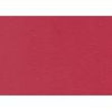 Обложка картон (кожа) A4, 100 шт, красный